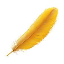 Plume Jaune