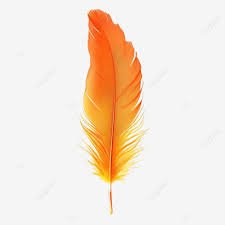 Plume Orange