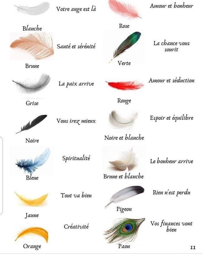 Significations des plumes...