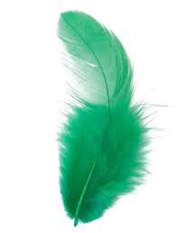 Plume verte